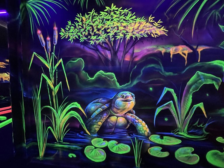 La tortue au bord de l'eau